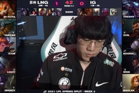 开云官方网站 - TheShy爆冷击败G2，问鼎冠军引爆全场！